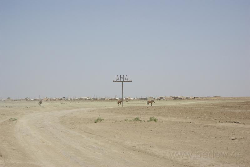 IMGP1120.jpg