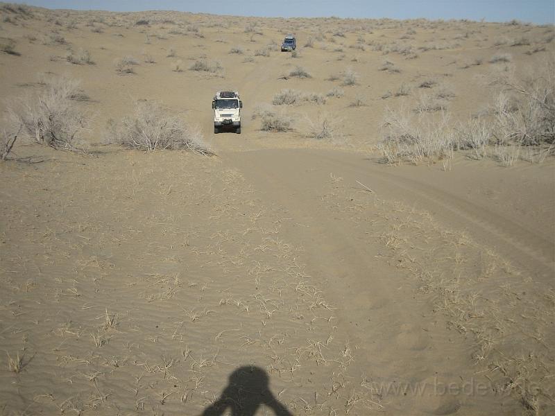 IMG_5298.jpg