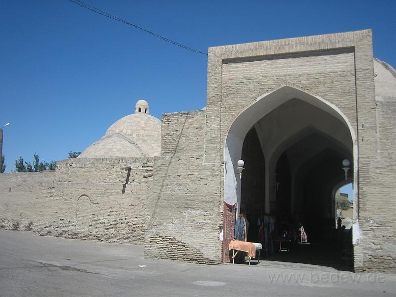 IMG_5784.jpg