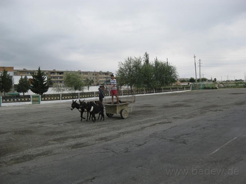 IMG_1449.jpg