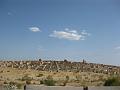 IMG_1186