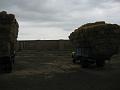IMG_1447
