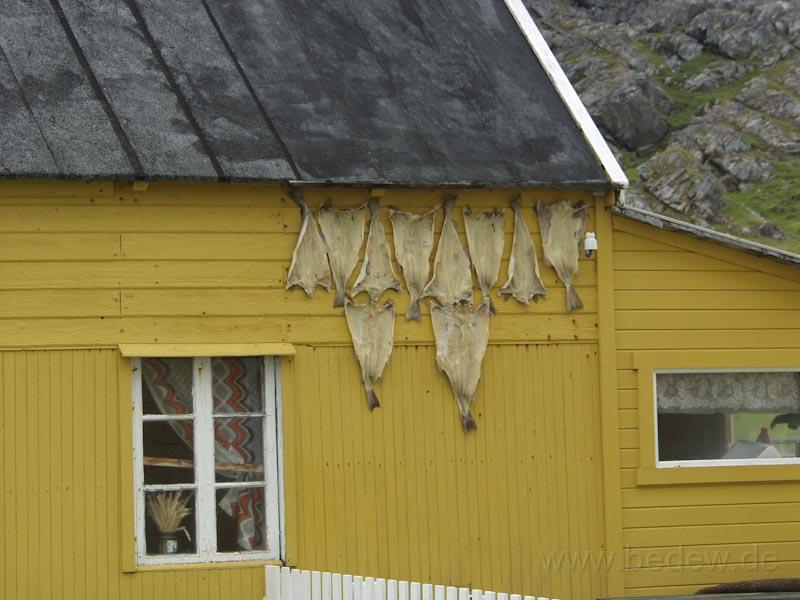 P8077576.jpg - Hamningberg