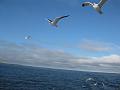IMG_4078